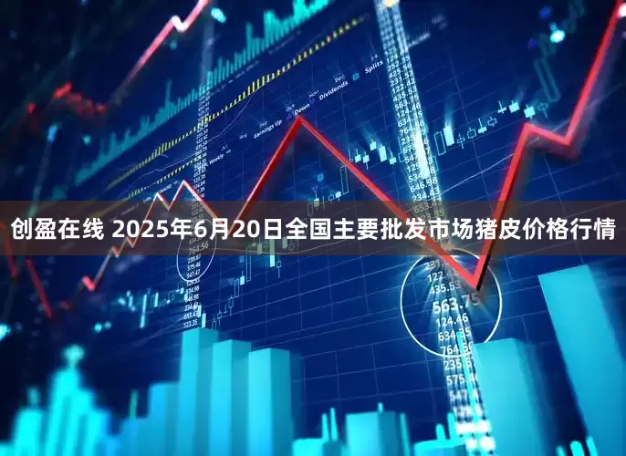 创盈在线 2025年6月20日全国主要批发市场猪皮价格行情