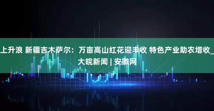 上升浪 新疆吉木萨尔：万亩高山红花迎丰收 特色产业助农增收_大皖新闻 | 安徽网