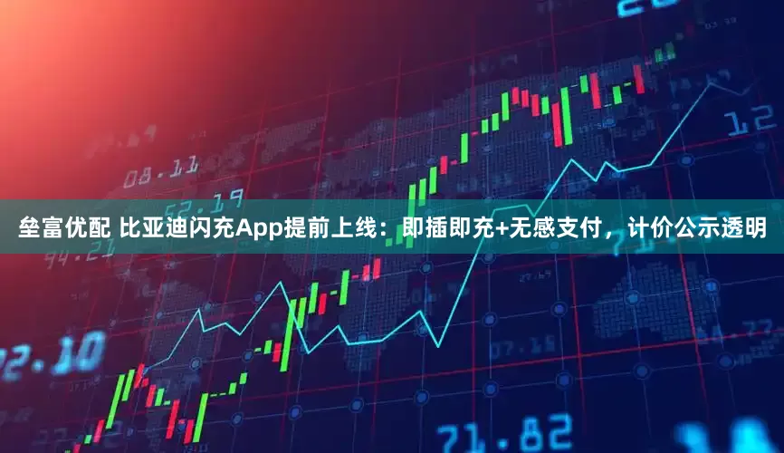 垒富优配 比亚迪闪充App提前上线：即插即充+无感支付，计价公示透明